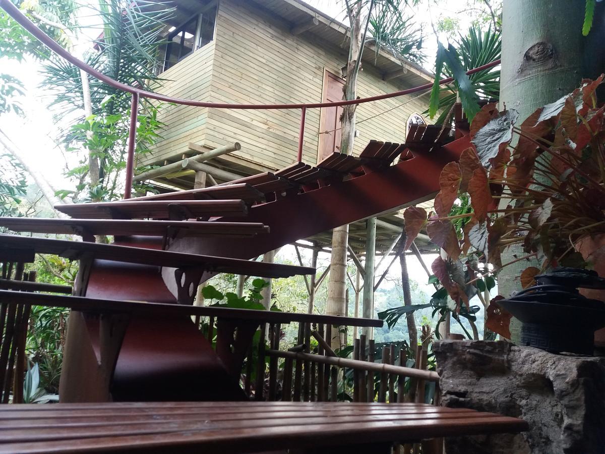 Chalets Huitaca Чоачи Экстерьер фото