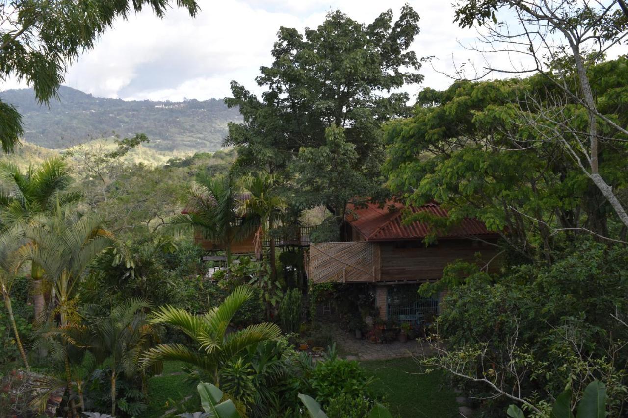 Chalets Huitaca Чоачи Экстерьер фото