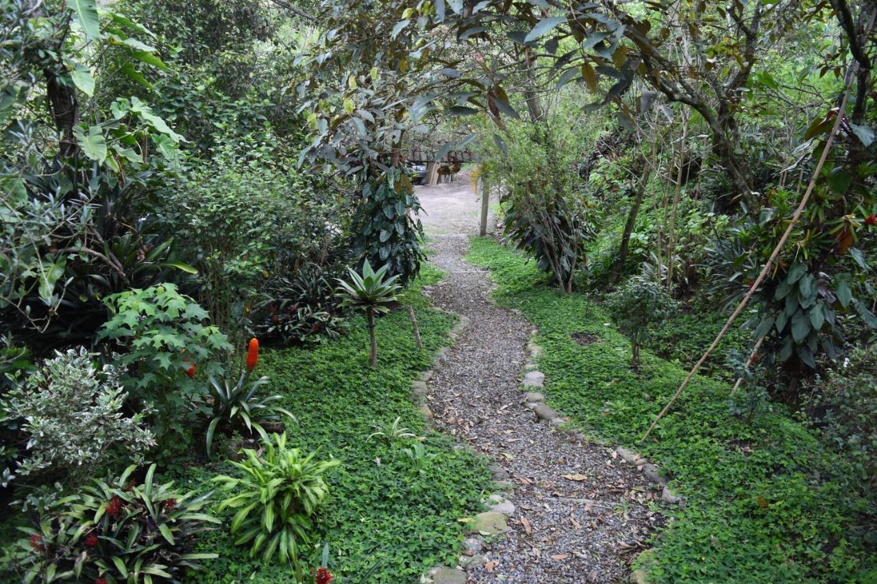 Chalets Huitaca Чоачи Экстерьер фото